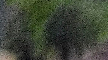 Ambos sujetos fueron acusados de asesinato.