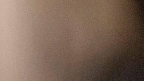 ICE mantiene operativos contra cualquier indocumentado.