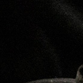 El gobierno federal quiere ampliar acciones migratorias en Nueva York.