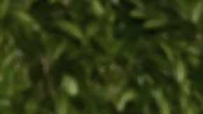 Blake Lively attends the 18th annual Tribeca Artists Dinner hosted by Chanel at The Odeon on Monday, June 9, 2025, in New York. (Photo by Evan Agostini/Invision/AP)