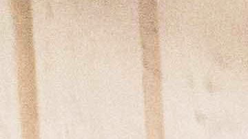 Por años, la mayoría de los inmigrantes detenidos por agentes de ICE en el área de la ciudad de Nueva York no contaban con antecedentes.