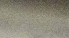 La ley de Nueva York dice que todos los residentes del estado tienen derecho a asistir a la escuela pública entre los 5 y los 21 años.