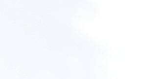 La madre de Go, quien estaba demasiado desconsolada como para hablar con la prensa, pudo decirle a su hija por teléfono que se manifestarían para exigir su liberación.