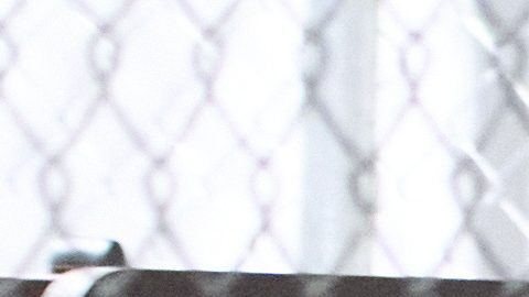 Kristi Noem defendió que Alligator Alcatraz es un modelo para futuros centros de detención que abrirán dentro de los próximos meses.