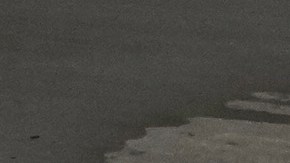 El juez apuntó en su orden que eventos recientes han impactado el curso del litigio.