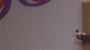 Dictaminaron que debe ser devuelto a Maryland si es liberado de la custodia.