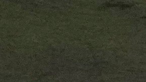 Se desconoce cuántos inmigrantes venezolanos hay actualmente detenidos en Alligator Alcatraz.