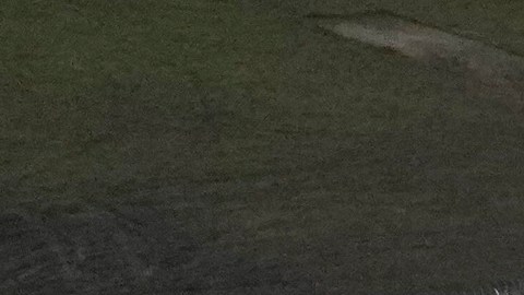 Se desconoce cuántos inmigrantes venezolanos hay actualmente detenidos en Alligator Alcatraz.