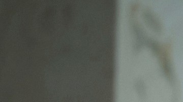 No se sabe si habría una cumbre trilateral o por separado.