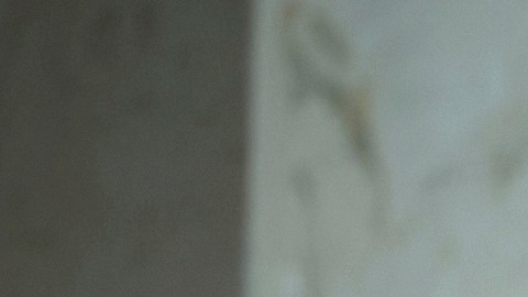 No se sabe si habría una cumbre trilateral o por separado.