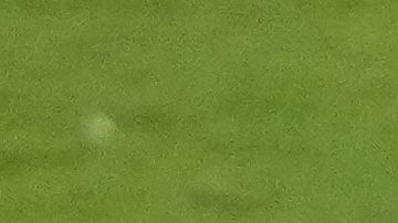 Alonso Martínez ha sido el jugador más importante para el NYCFC en 2025.