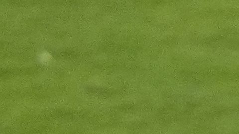 Alonso Martínez ha sido el jugador más importante para el NYCFC en 2025.