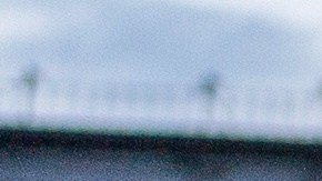 Los manifestantes dicen que la huelga de hambre no busca "molestar" a las autoridades georgianas, sino presionar a Ucrania para que tramite su liberación.