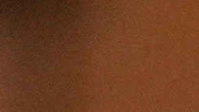 Habrían iniciado los preparativos para la visita.