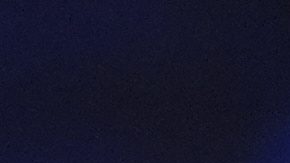 Jugadoras de la WNBA exigen más seguridad tras interrupciones de juegos por juguetes sexuales en la cancha