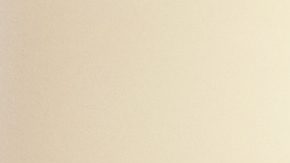 Adams presentó un plan de $650 millones de dólares para abordar el problema de las personas sin vivienda y ayudar a los neoyorquinos a superar las enfermedades mentales.