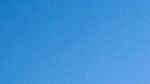 Hace tan solo unas semanas, salió a la luz que el Museo de Historia de Estados Unidos, también de Smithsonian, eliminó de su muestra los dos intentos de destitución de Trump.