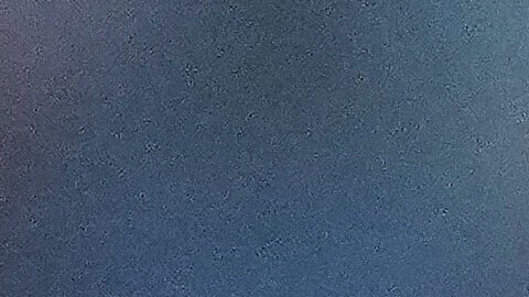 Carl Raleigh es el líder de cuadrangulares de la MLB.