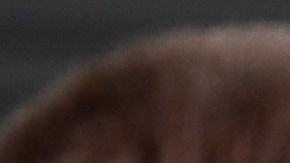 Max Verstappen asegura que seguirá con Red Bull en el 2026.