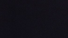 Marco Farfán es presentado como refuerzo de los Tigres UANL.