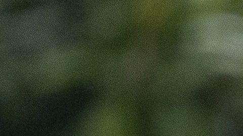 Trump despidió a McEntarfer, argumentado, sin pruebas, que había distorsionado los números con fines políticos.