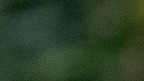 El presidente Donald Trump grita a los periodistas mientras observa el terreno desde la azotea sobre la columnata que da al Ala Oeste de la Casa Blanca, el martes 5 de agosto de 2025, en Washington.