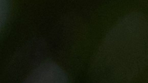 El "Zar de la frontera", Tom Homan