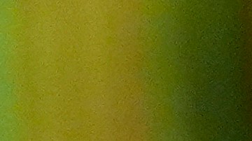 El presidente de EE.UU., Donald Trump