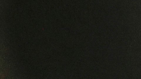 Se ve el maletín de una censista mientras toca la puerta de una residencia, el 11 de agosto de 2020, en Winter Park, Florida.