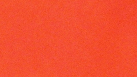 Putin elogió los "esfuerzos" de Trump para poner fin al conflicto.