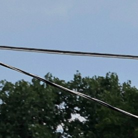 La policía vigila la escena cerca de un Target tras un tiroteo en Austin, Texas, el lunes 11 de agosto de 2025.