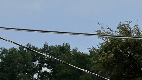 La policía vigila la escena cerca de un Target tras un tiroteo en Austin, Texas, el lunes 11 de agosto de 2025.