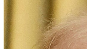 El mandatario manifestó su deseo de una resolución a la guerra.