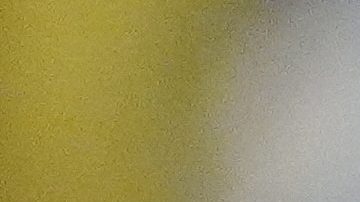 La prensa destacó que las conversaciones con Intel se enmarcan dentro del esfuerzo de Trump por impulsar la manufactura de chips semiconductores en EE.UU.