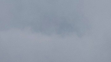 Protesta contra Vladimir Putin en Anchorage, Alaska