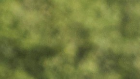 La Casa Blanca dio a conocer que se han hecho 465 detenciones desde el 7 de agosto, cuando empezó el operativo federal, incluyendo a 206 personas que se encontraba en el país sin autorización.