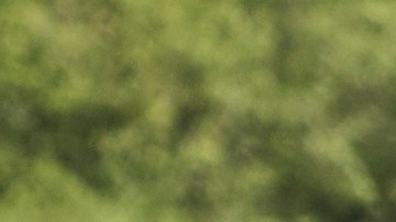 La Casa Blanca dio a conocer que se han hecho 465 detenciones desde el 7 de agosto, cuando empezó el operativo federal, incluyendo a 206 personas que se encontraba en el país sin autorización.