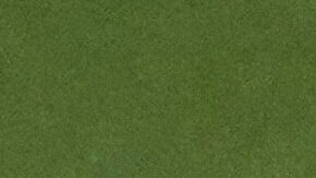 Mets pierden al receptor venezolano Francisco Álvarez por lesión en el pulgar