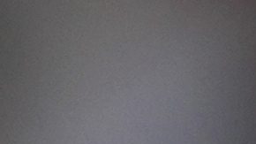 Novak Djokovic incorporaría a Monica Seles para su banquillo en el US Open