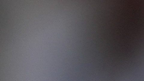 Novak Djokovic incorporaría a Monica Seles para su banquillo en el US Open