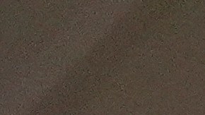 Manifestantes corean consignas frente a la Cámara de Representantes, donde la representante demócrata por Texas, Nicole Collier, se niega a salir debido a la escolta policial obligatoria.