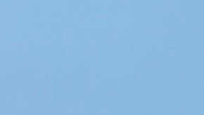 Las autoridades no se enfocarán solamente en los inmigrantes camioneros que recién obtuvieron sus licencias sino en todos.