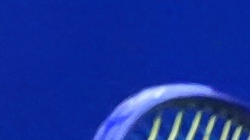 Noruego Casper Ruud lanza llamativa queja en el US Open: "Vayas donde vayas huele a marihuana"