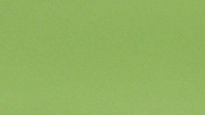 Ardilla entrando al campo del Yankee Stadium.