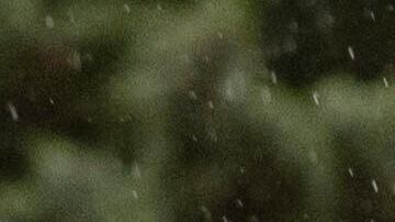 Se reportaron varias evacuaciones en instituciones universitarias.