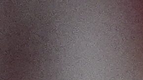 Trump ya había criticado anteriormente a países que aplican el impuesto a los servicios digitales (DST) como Canadá.