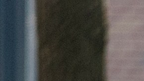 Un vocero de la oficina del médico forense de la ciudad señaló que los patólogos estaban esperando "información adicional de la investigación".