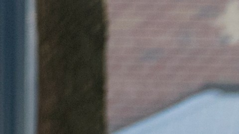 Un vocero de la oficina del médico forense de la ciudad señaló que los patólogos estaban esperando "información adicional de la investigación".
