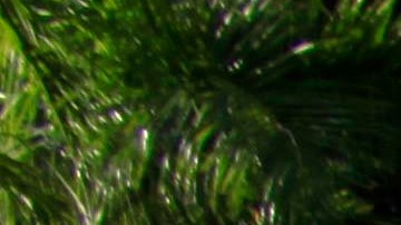 Protesta en San Juan, Puerto Rico, contra la Junta y el pago de la deuda a los bonistas