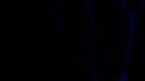 Ningún policía sufrió lesiones de gravedad.